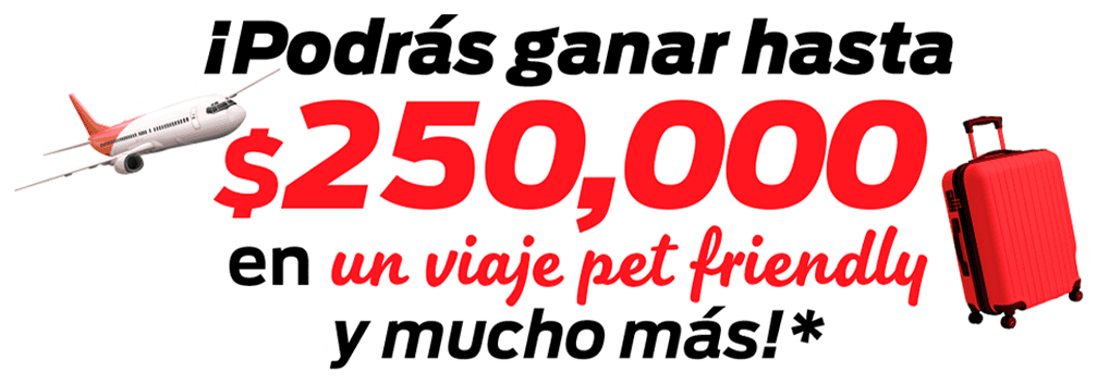 Compra, registra y podrás ganar hasta $250,000 en un viaje pet friendly